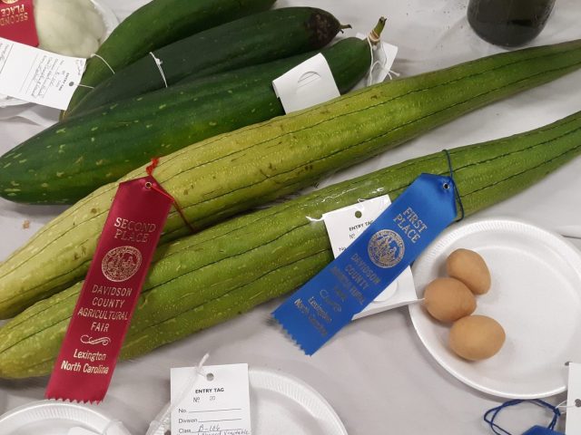 Davidson-Davie Horticulture Program Wins Ribbons at County Fair